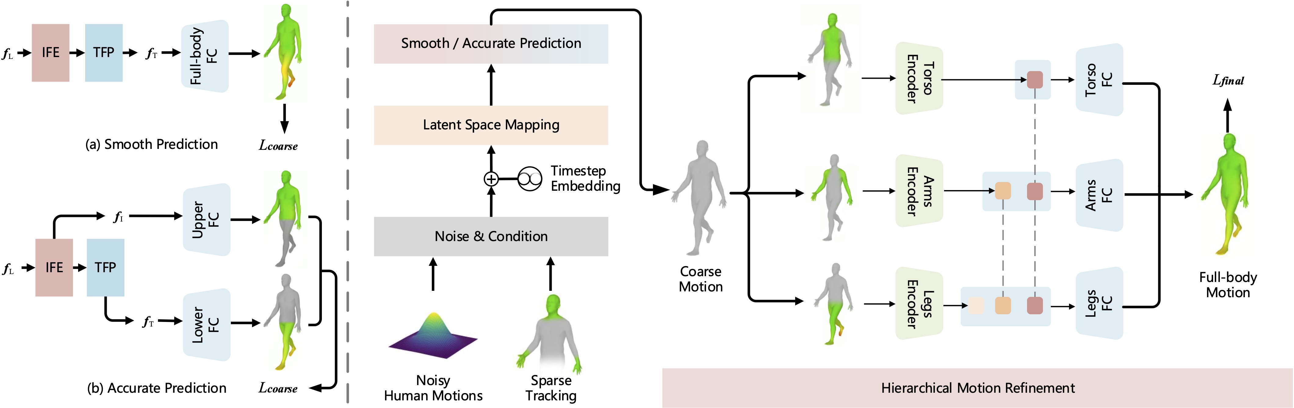 Human Anatomy Network Pipeline